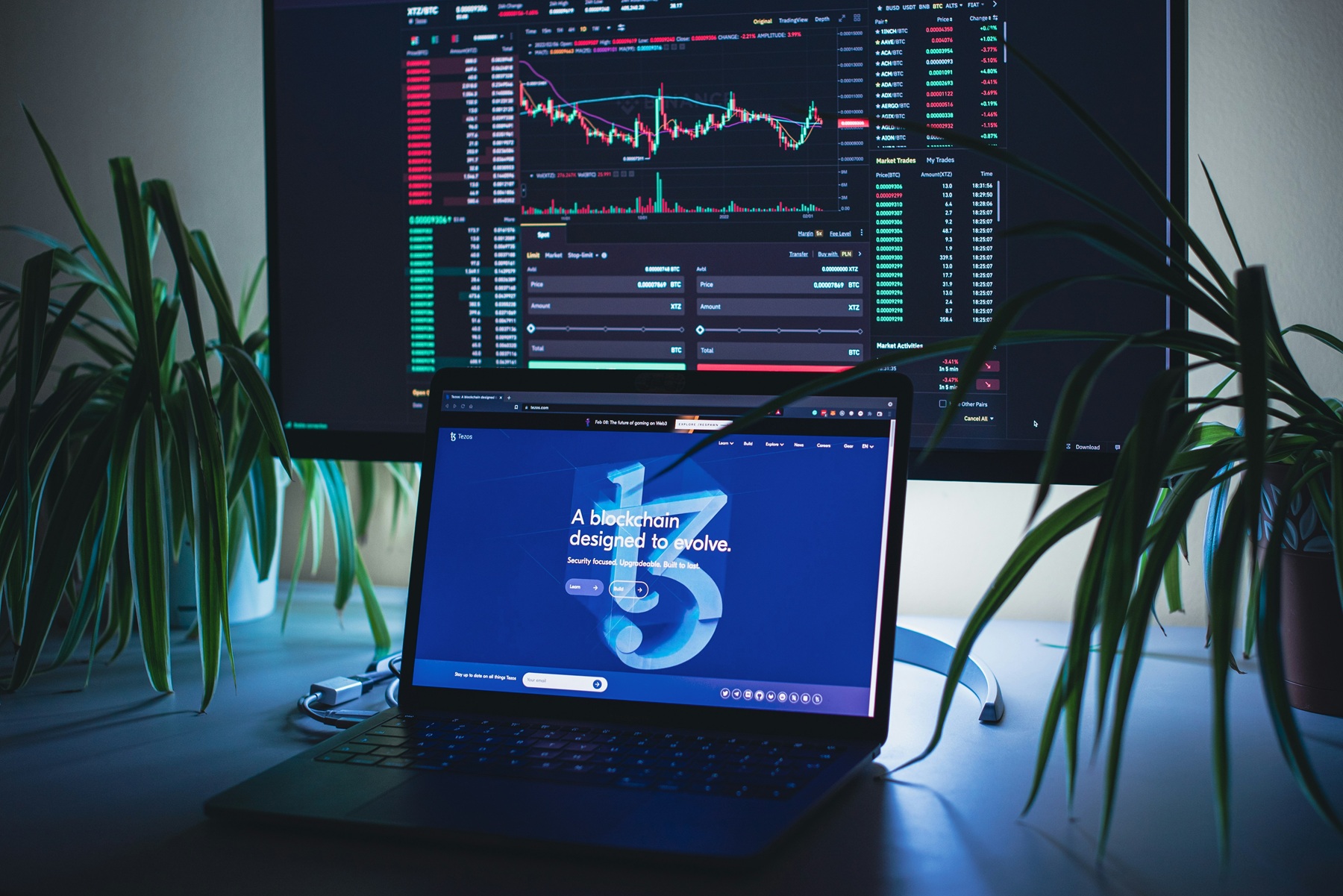 crypto